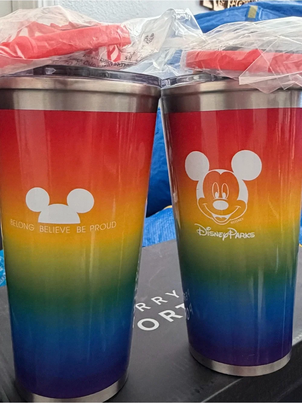 🌈 Disney Parks Mickey Mouse Rainbow Stainless Steel Tumbler – NEW